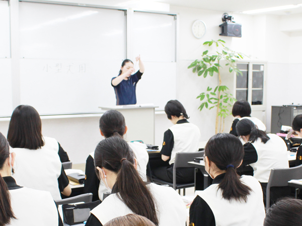 シザーの構造と綿棒作りを勉強！